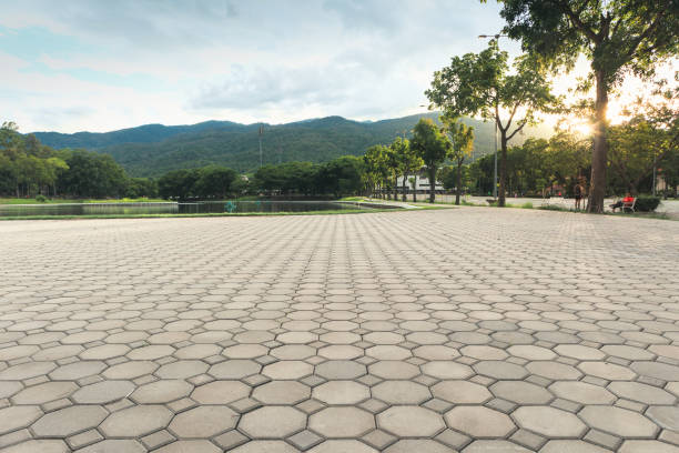 Best Best Driveway Pavers  in Pumpkin Center, NC
