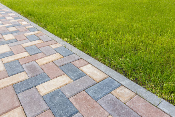 Best Residential Paver Driveway  in Pumpkin Center, NC